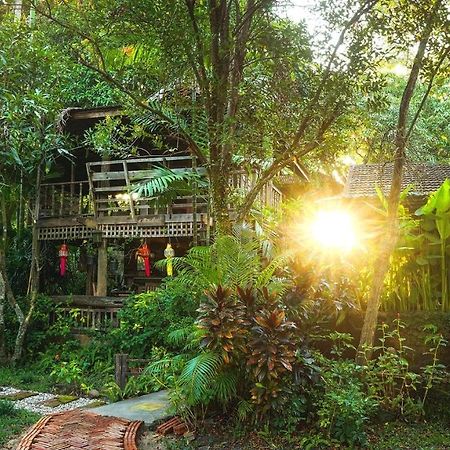 TongLuang Inthanon Homestay โต้งหลวงอินทนนท์โฮมสเตย์ Chom Thong Luaran gambar