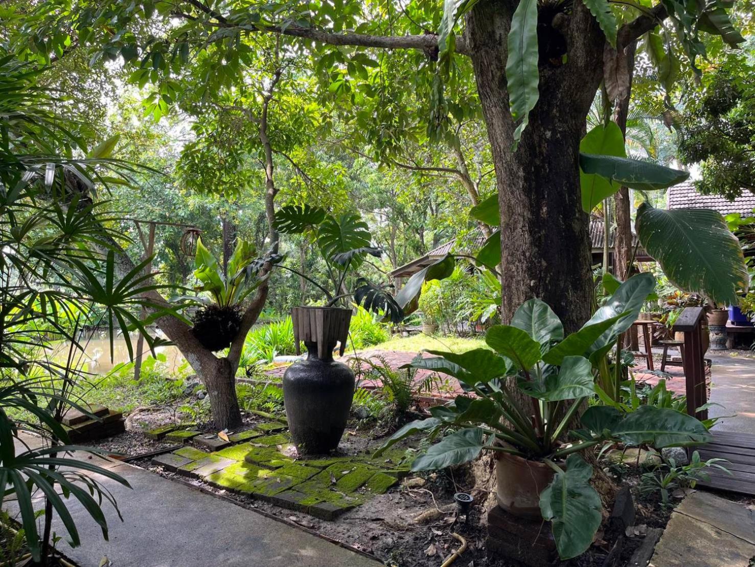 TongLuang Inthanon Homestay โต้งหลวงอินทนนท์โฮมสเตย์ Chom Thong Luaran gambar