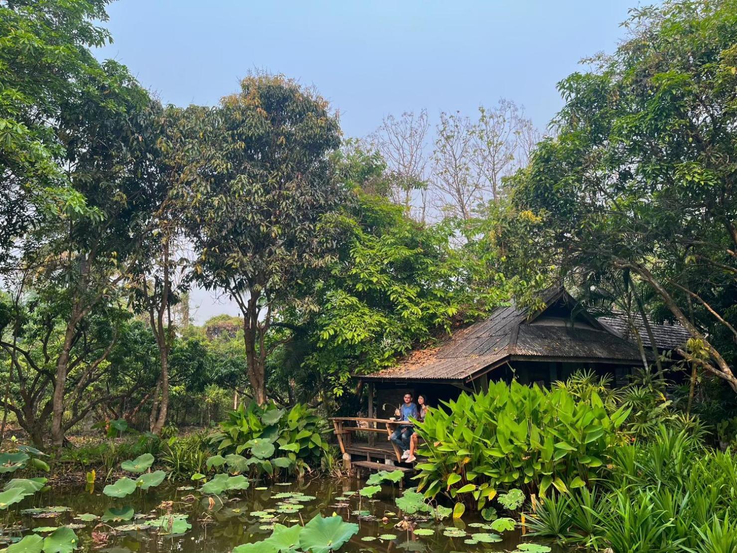 TongLuang Inthanon Homestay โต้งหลวงอินทนนท์โฮมสเตย์ Chom Thong Luaran gambar
